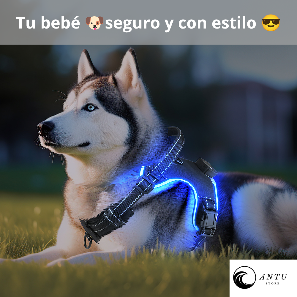 Arnés LED Ergonómico