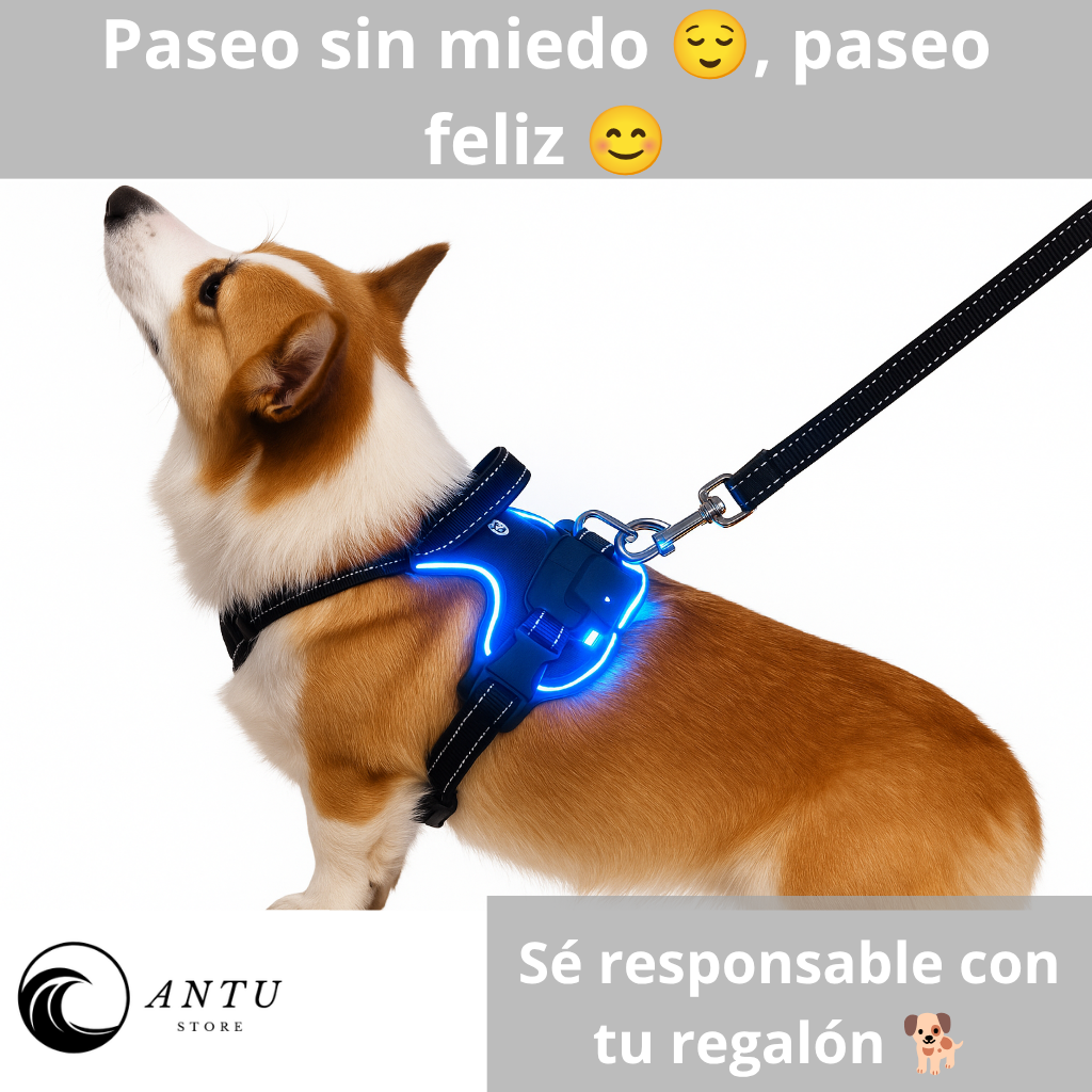Arnés LED Ergonómico